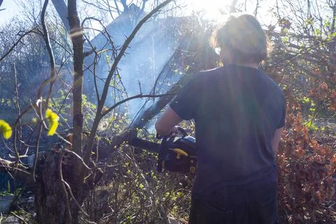 Man pruning or sawing apple tree using chainsaw. farmer sowing the dry branch Stock Photos