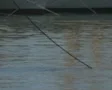 Man pulling up anchor SD Footage