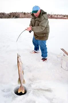 Man pulling a big pike from under the ice Stock Photos
