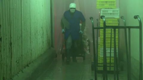 Man pulling a cart in a factory Stock Footage 43337109