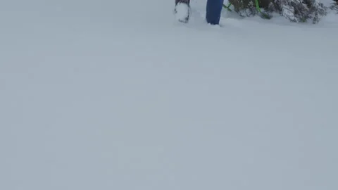 Man pulling Christmas tree through snow in winter Stock Footage 340398532