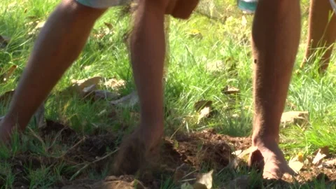 Man Pulling Out Roots with Bare Hands Stock Footage 156765407