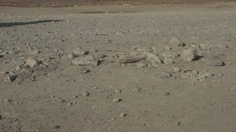 Man pulling an a wheelbarrow Stock Footage 68843178