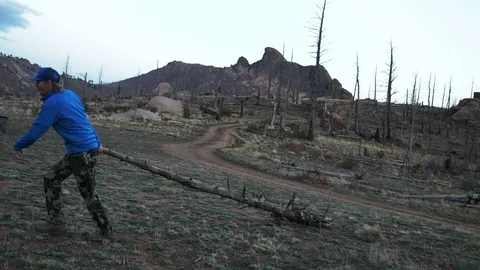 Man Pulls Dead Pine For Firewood Slow Motion in Colorado Video stock 107634446
