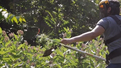 Man Pulls At Grass Tangled In String Trimmer, Then Starts Trimmer. Stock Footage 112665132