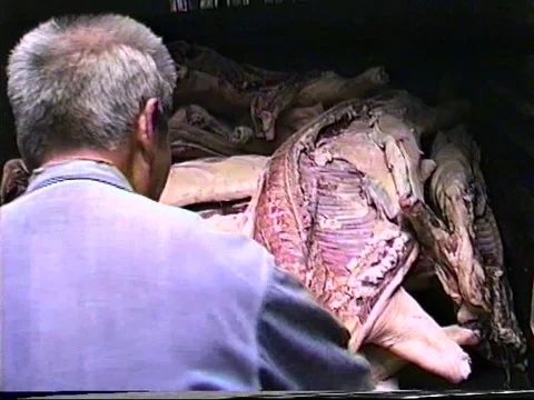 Man pulls meat off vehicle at Open Market in Guangzhou 1990 Stock Footage 71832113