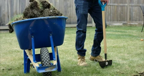 Man pulls up sod in backyard - home improvement landscaping Video stock 132361060