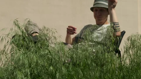Man pulls tall grass in backyard and checks length before mowing. Guy in cap Stock Footage 309924601