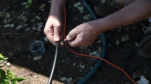 Man punching hole in drip system tubing Stock Footage 41019718