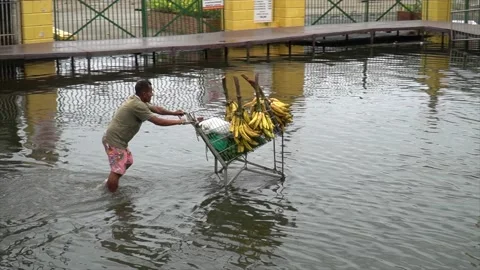 Man push fruit cart on flooded street of Manaus. Flood in Amazon, Brazil. 4K Stock Footage 159720475