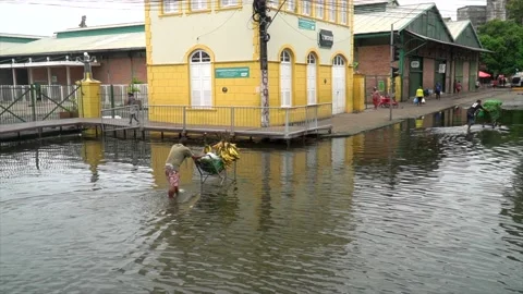 Man pushes fruit cart on flooded street of Manaus, Flood in Amazon, Brazil. 4K Stock Footage 159720482