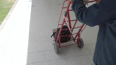Man pushes a red dolly. Hand truck. diablito de carga Vídeos de archivo 278274582