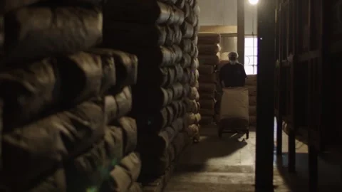 Man pushing Sack of Tea Stock Footage 288847621