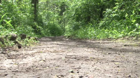 Man Pushing Stroller through Path 库存影片 381155