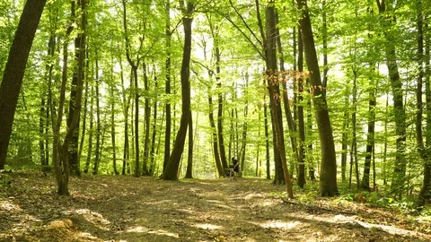 A man pushing touring bicycle through the forest. Video stock 117969302