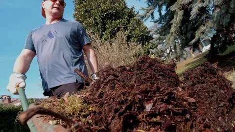 Man pushing wheelbarrow with compost and tipping fertilizer onto garden area. Stock Footage 332164485