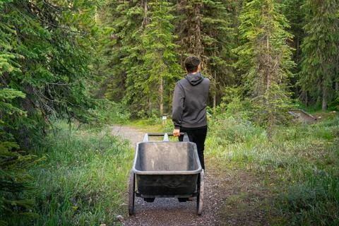 Man pushing wheelbarrow through forest path, blending nature and work. Stock Photos