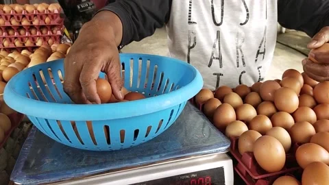 Man put eggs into plastic basket Stockbeeldmateriaal 213205123