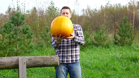 Man put heavy medium sized pumpkin on one hand and go away, grassy yard Stock Footage 73548850