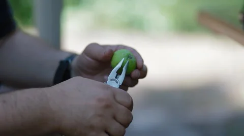 Man puts apples on a rope with needle Stock Footage 52316514
