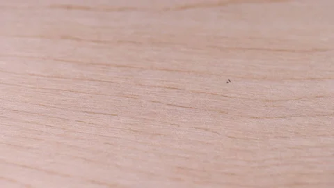 Man puts bar code print on wooden box, made in France Stock Footage 104536608