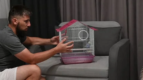 A man puts a cage with a parrot on a large soft chair. Stockbeeldmateriaal 330995388