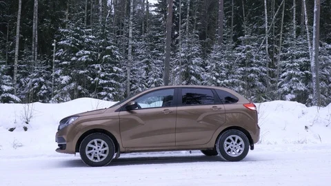 Man puts a Christmas tree in the trunk of the car in the winter forest Video stock 100353428