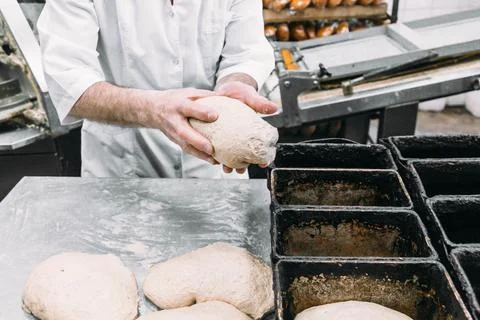 A man puts dough in a bread pan. Bread making process Stock Photos