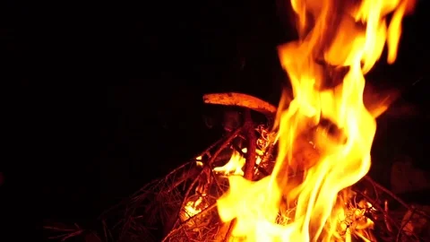 A man puts dry branches on a fire. Hands close-up. Slow motion Stock Footage