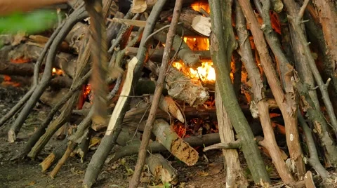 Man Puts a Firewood Into Fire Ivan Kupala Pagan Festival Kiev Men and Women Are Stock Footage 64797944