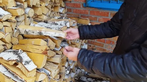 Man puts firewood in his hands Video stock 80373548