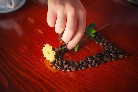 A man puts a flower on a heart shaped cofee beans Stock Photos