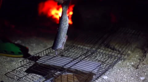 Man puts grill basket with fish on brazier full of live coals. Stock Footage 54237706