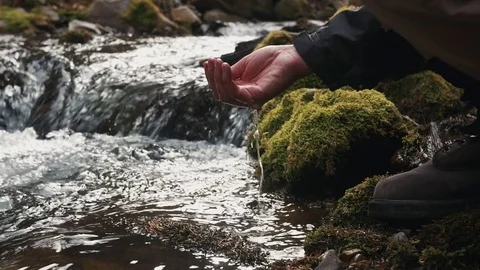 Man Puts Hand In Stream Stock Footage 83598404