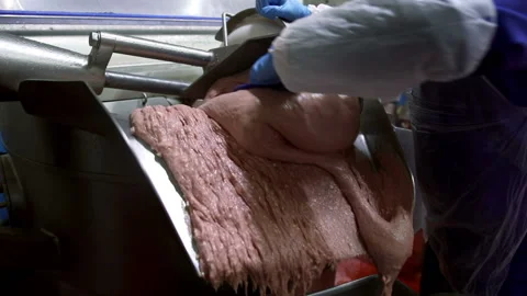 Man puts the processed meat into a container 스톡 동영상 93280928