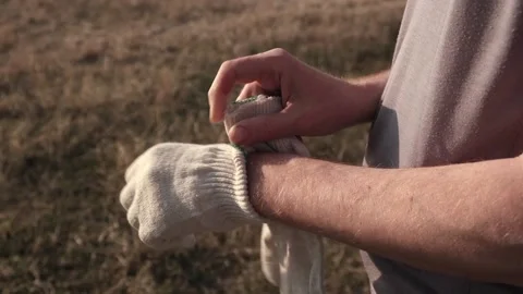 Man puts protective work gloves on his hands, prepares work in garden outdoors. Stock Footage 232762029