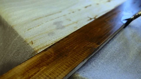 Man Puts On A Tree Decorative Coating Darkening Tree, View Stock Footage 125128512