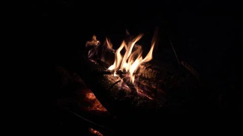 Man Puts Wood in the Burning Fire Stock Footage 150132886