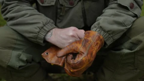 Man puts on work gloves. Video stock 294174120