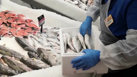 A man putting a chilled fish on the ice. Stock Footage 227340542