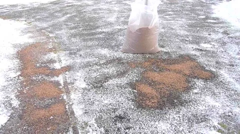 Man Putting Down Rock Salt On An Icy Driveway Model Released Video stock 1028855