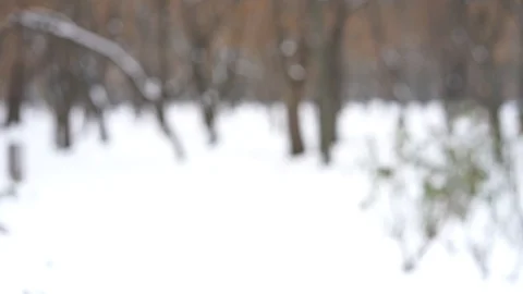 Man putting on gloves in cold white winter Stock Footage 98736950