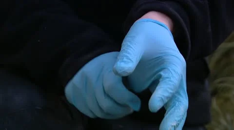 Man putting on gloves Stock Footage 11986355