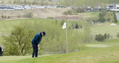 Man Putting Golf Ball on Beautiful Green Course Video stock 336610025