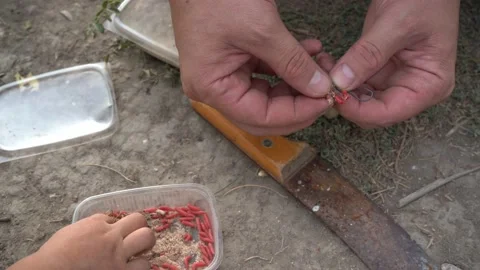 Man is putting maggot on fish-hook. Fishing outdoors. Hobby in the nature. Stock Footage 160357599