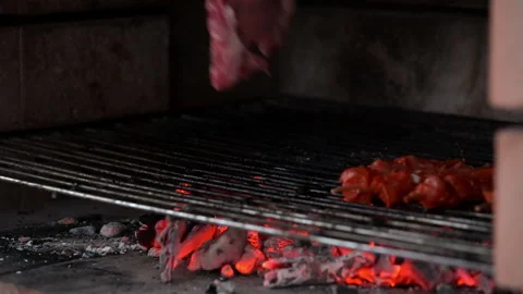 Man putting marinated pork ribs and chicken skewers on the barbecue grill  Video stock 201262140