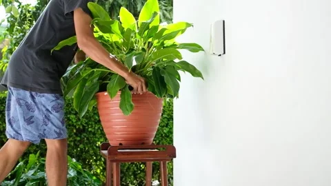 Man Putting Plant Stock Footage 201871792