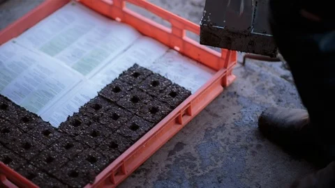 Man putting soil block on crate Stock Footage 94884104