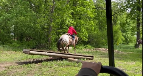 Man Quickly Dives In To Save Niece From Kicking Horse, usa - 30 May 2022 Vídeos de archivo 274307054