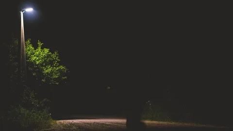 Man quickly runs along road with a big black dog. dark night. goes to camera Stock Footage 116814531